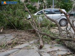 Шесть воронежских районов частично остались без света из-за ветра 