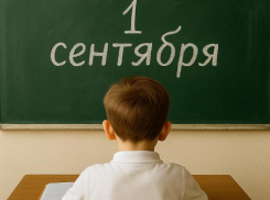 Астрономические суммы: во сколько воронежцам обходятся школьные сборы