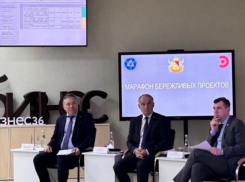 Остановка аммиакопровода «Тольятти–Одесса» затронула воронежскую промышленность