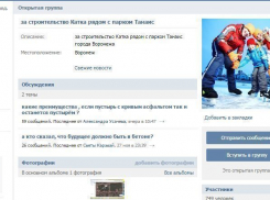 Строители катка в парке «Танаис» в Воронеже стали «скупать» лояльность горожан