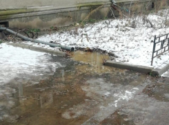 Нежных воронежских чиновников задело заявление о том, что «полгорода в говне»