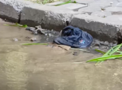 Ручей превращает воронежскую улицу в Венецию