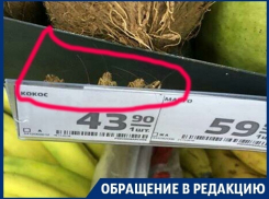 Неприятных существ среди фруктов нашла жительница Воронежа в магазине
