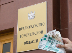 В четыре раза дороже обходится охрана чиновников, чем воронежских школьников