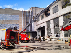 Что известно о смертельном пожаре на заводе в Воронеже
