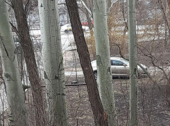 Автомобильный захват сквера показали в Воронеже