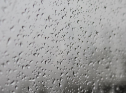 Плачут небеса: с унылой погоды начнется май в Воронеже