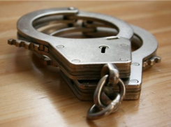 В Воронеже задержали преступную группу, нападавшую на одиноких пенсионеров