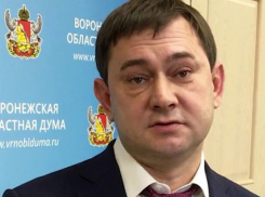 На 3 млн рублей оказался богаче спикер Воронежской облдумы, чем губернатор