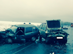 Три человека пострадали в лобовом столкновении двух авто в Воронежской области