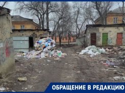 Переулок Солнечный – вид не радужный: удручающую древомусорную картину показали воронежцы 