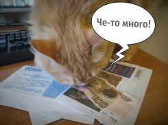 Такой разный декабрь: как воронежские чиновники оправдываются за аномальные счета в платёжках