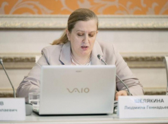 В воронежском минтарифов рассказали, на кого скинули решение рабочих задач