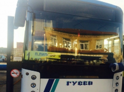 На закрытый соцопрос опираются в воронежском правительстве при повышении платы за проезд