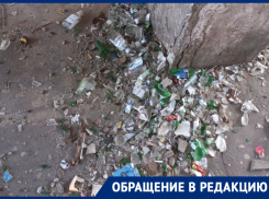 Кладбище битого стекла злит своим существованием жителей воронежского двора 