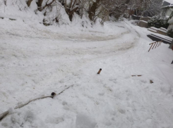 Воронежские коммунальщики начали чистить улицу Базарная гора