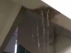 Нещадный ливень в подъезде из-за засора показали в воронежском доме