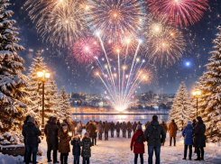 Будет ли новогодний салют в Воронеже 