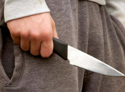 Следователи рассказали подробности нападения на 10-летнюю девочку в Воронеже