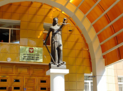 В Воронежской области осудили киллера, пытавшегося убить фермера 