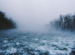 В Воронежской области мужчина убил друга и скинул его тело в Дон