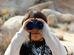 Пропавший 15-летний воронежец сбежал в Московскую область к своей девушке 