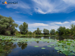 Озеро выставили на продажу за копеечную сумму в Воронежской области