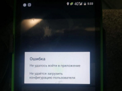 Причину массового сбоя при оплате проезда в маршрутках назвал чиновник мэрии Воронежа