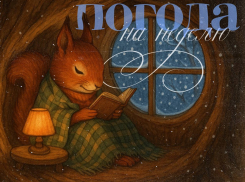 Какая погода придет в Воронеж вместе с декабрем? 