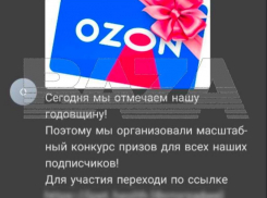 «Простите, что допустили это», – мошенники взломали миллионный аккаунт OZON