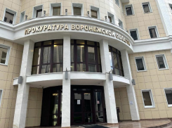 Скандальная история в воронежском кадетском корпусе может дойти до уголовного дела
