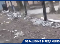 Помойка с иглами и шприцами атаковала детский сад в Воронеже