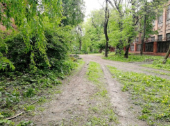 Стало известно, когда в Воронеже благоустроят исторический Индустриальный бульвар