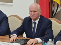 Михаил Гордиенко переизбран префектом Воробьевского района Воронежской области