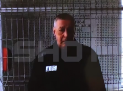 Михаил Ефремов выходит по УДО 