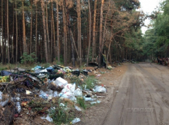 На окраине Воронежа покойники «задыхаются» от мусора 