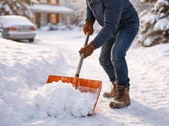 Их тысячи: какие снежные жалобы чаще всего оставляли воронежцы