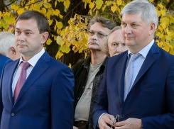 Гусев вспомнил о проблемах воронежского транспорта в День автомобилиста