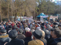 Воронежцы встали на защиту парка «Танаис» от уничтожения