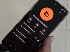 Чем закончилась пытка виртуальным ожиданием, рассказала жительница Воронежа 