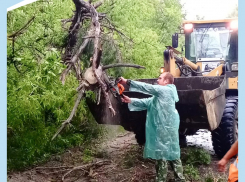Последствиями жуткого ливня в Воронеже уже занялись