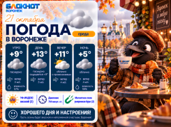 Холода подкрались незаметно: прогноз погоды в Воронеже