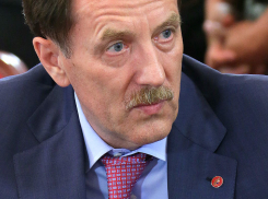 Кандидатуру Алексея Гордеева внесли в ЦИК России