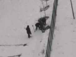 Посадку деревьев в снег раскритиковали воронежцы 