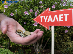 Морг, туалеты и выгребные ямы помогут воронежским чиновникам пополнить бюджет 