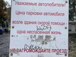 Воронежцев попросили прекратить парковку, несущую смерть 