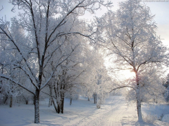 В Воронежской области на выходных будет мороз -10 С