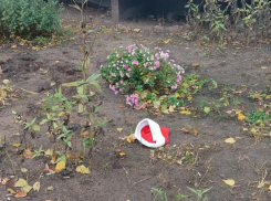 «Не знаю, что и думать», – последствия дня рождения Деда Мороза показали в Воронеже