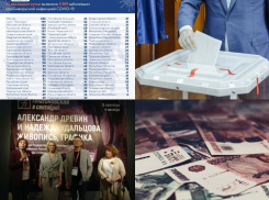 Коронавирус в Воронеже 14 сентября: +111 заболевших, явка на ковидных выборах и деньги безработным