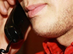 В Воронеже действовал телефонный мошенник из Новосибирска